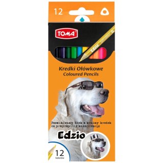 Kredki ołówkowe trójkątne 12 kol. Toma (TO-551)