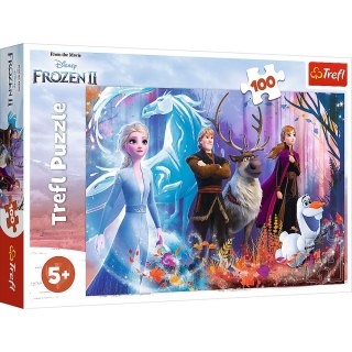 Puzzle Frozen kraina przyjażni 100 el. Trefl (16366)