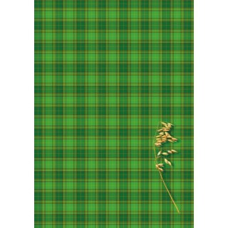 Brulion B5 200k. krata Kreska