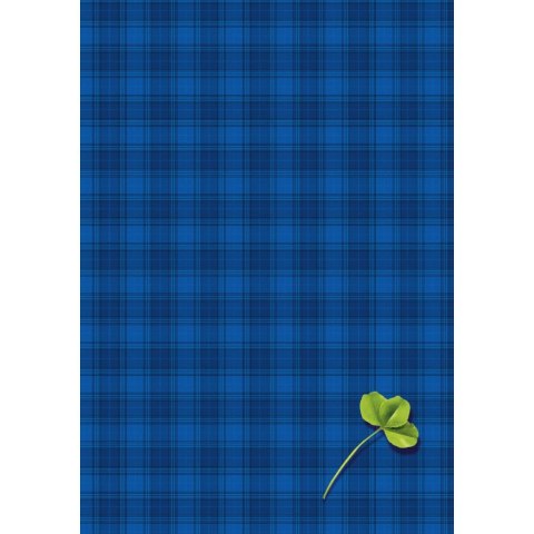 Brulion B5 200k. krata Kreska