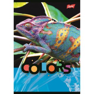 Zeszyt Exotic colors A5 32k. linia Unipap