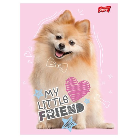 Zeszyt My Little Friend A5 16k. krata Unipap