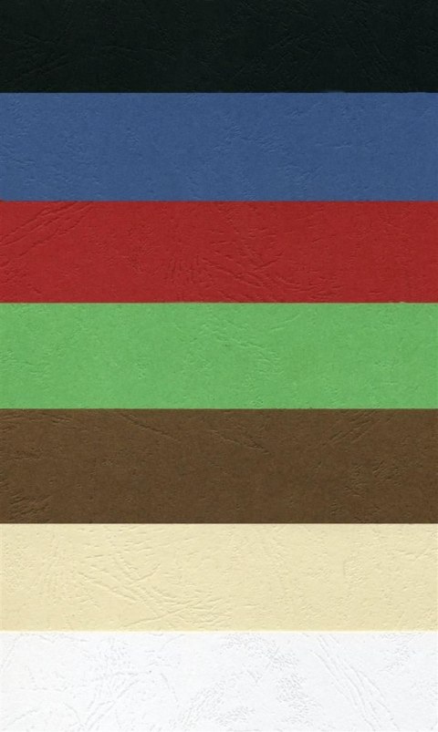 Karton do bindowania Delta skóropodobny A4 żółty 250g Argo (407071)