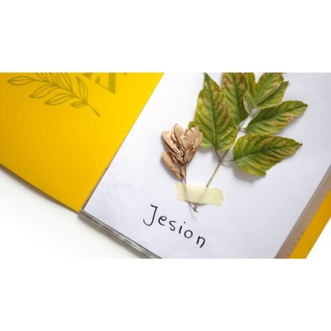 Teczka ofertowa Zielnik A4 kolor: żółty Biurfol (ZIEL-A4-01)