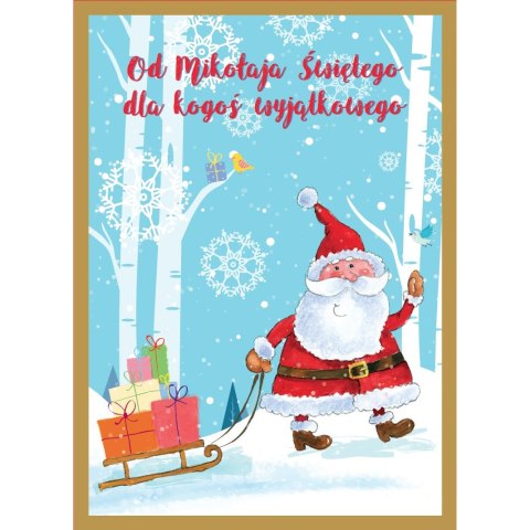 Torba prezentowa A3+ Passion Cards (TXL)