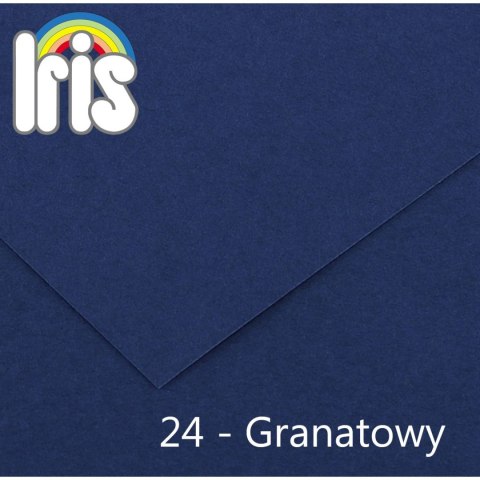 Brystol Iris 24 A4 granatowy 120g 100k Canson (200040023)