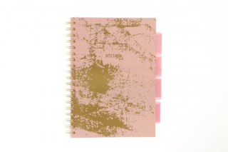 Kołozeszyt (kołonotatnik) PROJECT BOOK RÓŻOWY B5 100k. 80g krata Strigo (PADS030)