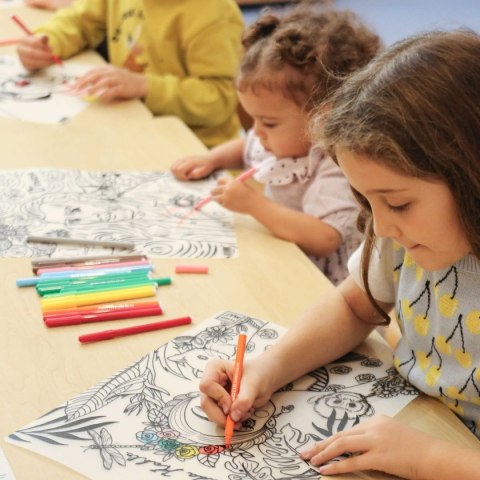 Podkład na biurko FUNNY MAT TRANSPARENT FRIDA sfu1251 polipropylen PP [mm:] 300x400 Strigo (8681379312509)