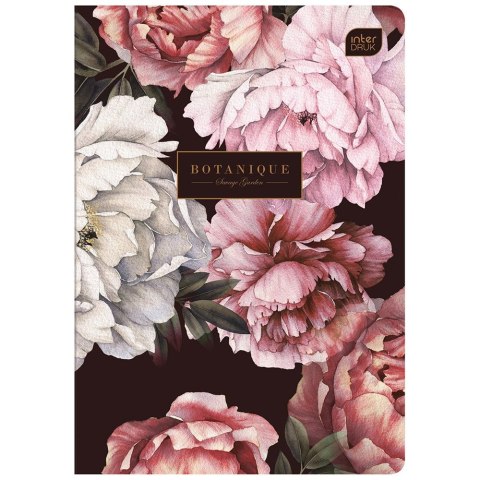 Zeszyt TRENDS Girls A5 60k. 70g krata Interdruk (ZE60#TRE1)