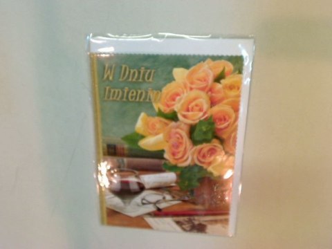 Kartka składana B6 [mm:] 125x176 Agamis