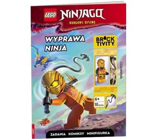 Książeczka edukacyjna LEGO® NINJAGO®. Wyprawa ninja Ameet (LNC 6738)