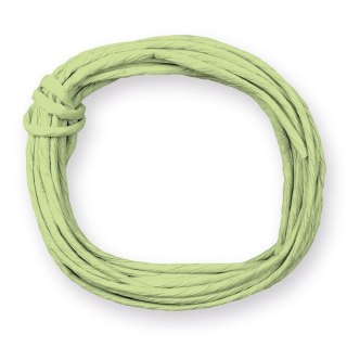Sznurek Craft-Fun Series papierowy jasnozielony 5m Titanum (G40)
