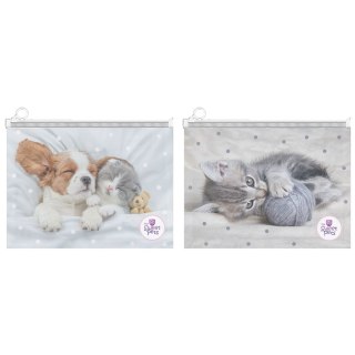 Teczka plastikowa The Sweet Pets 9839 Beniamin