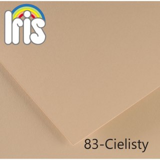 Brystol Iris Canson (400108016)