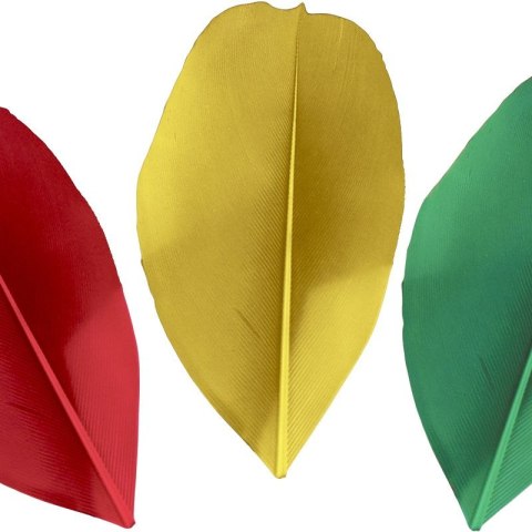 Piórka Craft-Fun Series mix Titanum