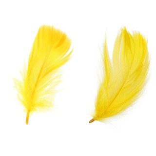 Piórka Craft-Fun Series żółty Titanum