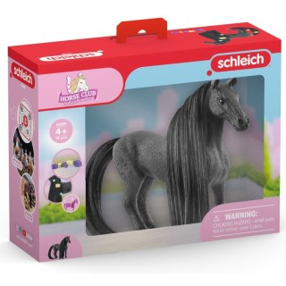 Figurka Klacz Criollo Definitivo Schleich (SLH42581)