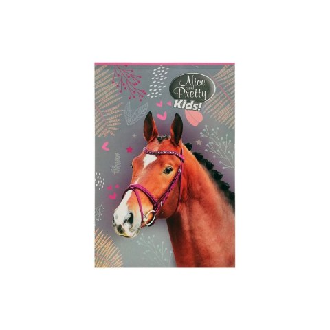 Notes (notatnik) Nice&Pretty A6 30k. [mm:] 102x148 Beniamin (6094494)