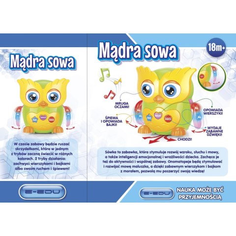 Pluszak interaktywny sowa Artyk (129971)