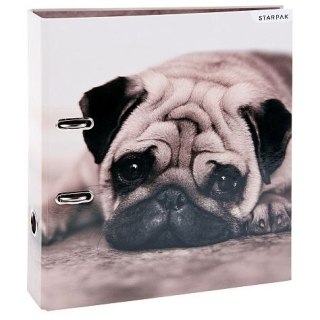 Segregator dźwigniowy psy Zwierzęta A4 70mm szary Starpak (391674)