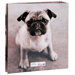 Segregator dźwigniowy psy Zwierzęta A4 70mm szary Starpak (391674)