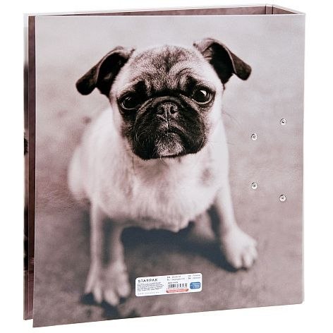 Segregator dźwigniowy psy Zwierzęta A4 70mm szary Starpak (391674)