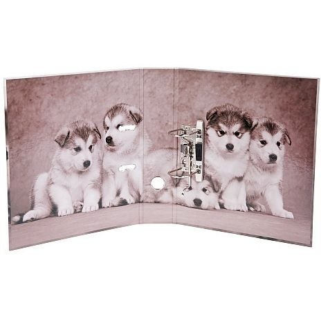 Segregator dźwigniowy psy Zwierzęta A4 70mm szary Starpak (391674)