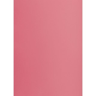 Brystol A1 różowy 160g 25k [mm:] 610x860 TOP-2000 (400149529)