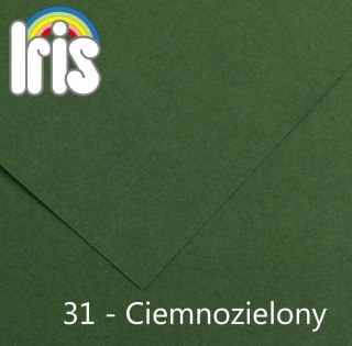 Brystol Iris 31 A3 zielony ciemny 185g 50k [mm:] 297x420 Canson (200040210)