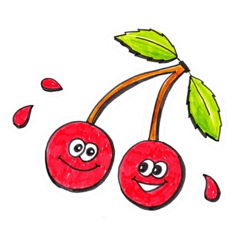 Cienkopisy Faber-Castell Grip Finepen 0,4 10 kolorów (FC151610)