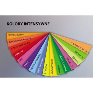 Papier kolorowy kolorowy A4 zielony fluorescencyjny 500k. 80g Trophee (xca42975)