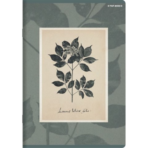 Zeszyt FLOWERS A5 32k. 70g linia Top 2000 (400169418)