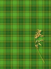 Brulion A5 500k. krata Kreska