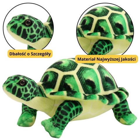 Pluszak żółw zielony [mm:] 250 Lean (22379)