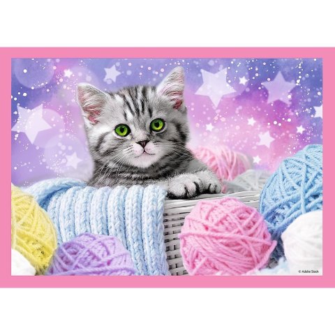 Puzzle Trefl (34396)