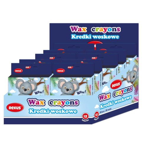 Kredki świecowe 12 kol. Rexus (603543)
