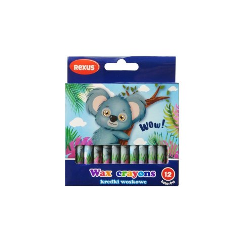 Kredki świecowe 12 kol. Rexus (603543)
