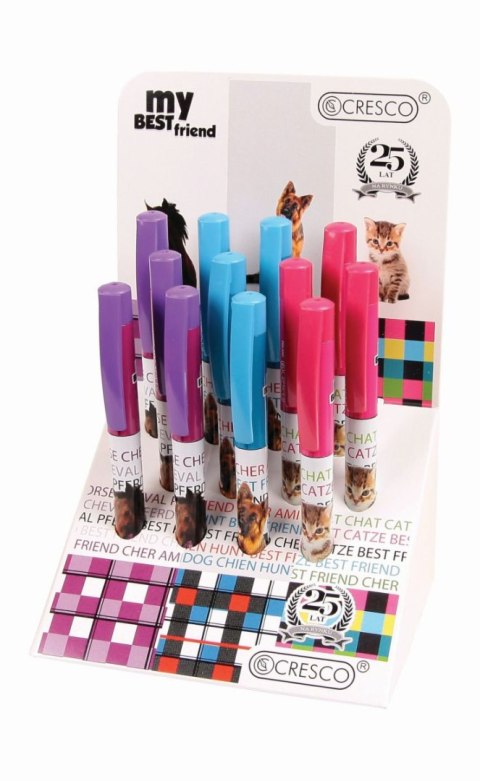 Pióro wieczne COLLEGE 11 Cresco (280030 - K)