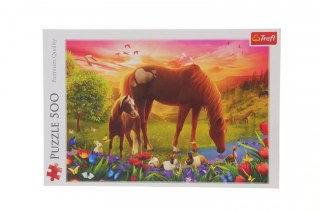 Puzzle Konie na łące 500 el. Trefl (37451)