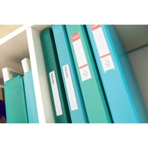 Teczka ofertowa Colour Breeze A4 kolor: zielony 40 kieszeni Esselte (626228)