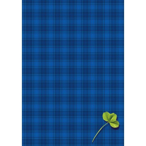 Brulion A5 300k. krata Kreska