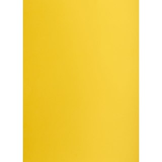 Brystol A3 ciemnożółty 160g 25k [mm:] 297x420 Creatinio (400150189)