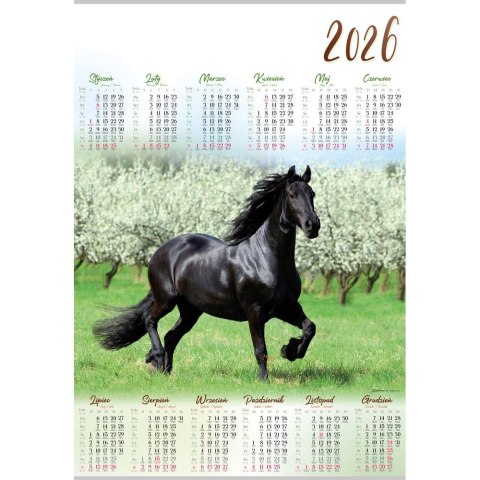 Kalendarz ścienny KOŃ plakatowy 607mm x 880mm Lucrum (PL12)