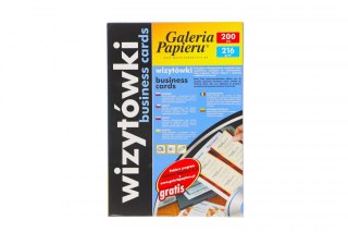 Papier ozdobny (wizytówkowy) Akant A4 Galeria Papieru