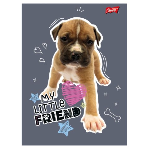 Zeszyt MY LITTLE FRIEND A5 32k. 70g krata Unipap