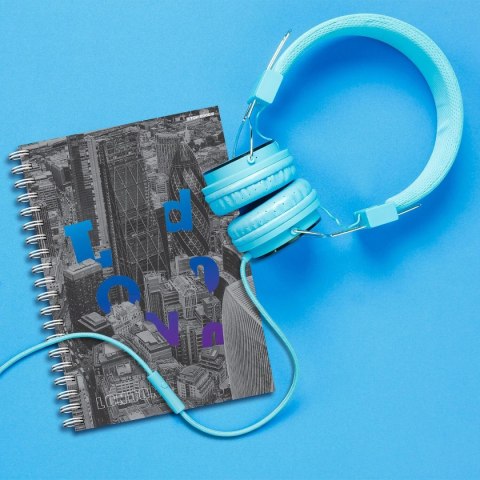 Kołozeszyt (kołonotatnik) City A5 100k. 70g krata TOP-2000 (400169509)