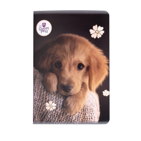Zeszyt THE SWEET PETS Beniamin (2603)