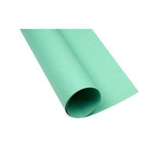 Brystol turkusowy B1 turkusowy 225g 1k Creatinio (400150265)