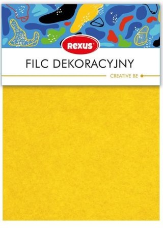 Zestaw szkolny filc kreatywny 10 el. Rexus (6040248)