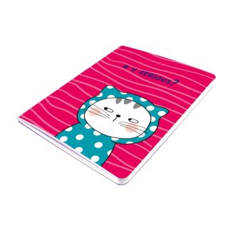 Notes (notatnik) B5 70k. krata M&G (MG APYSLZ06)